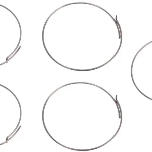 Fulcrum Sperrklinkenfeder Satz à 5 silber Markenprodukt