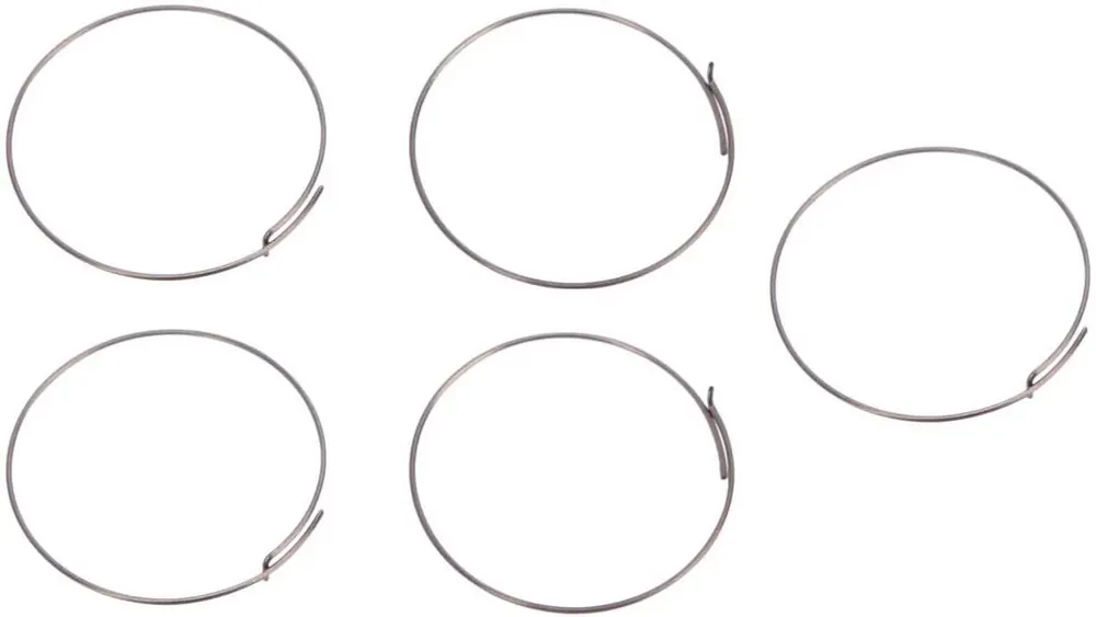 Fulcrum Sperrklinkenfeder Satz à 5 silber Markenprodukt