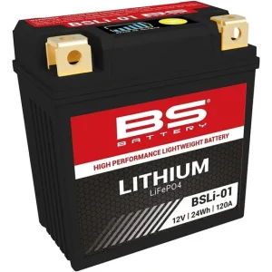 Kracherpreis BS-Battery Batterie LiFePO4 BSLI-01