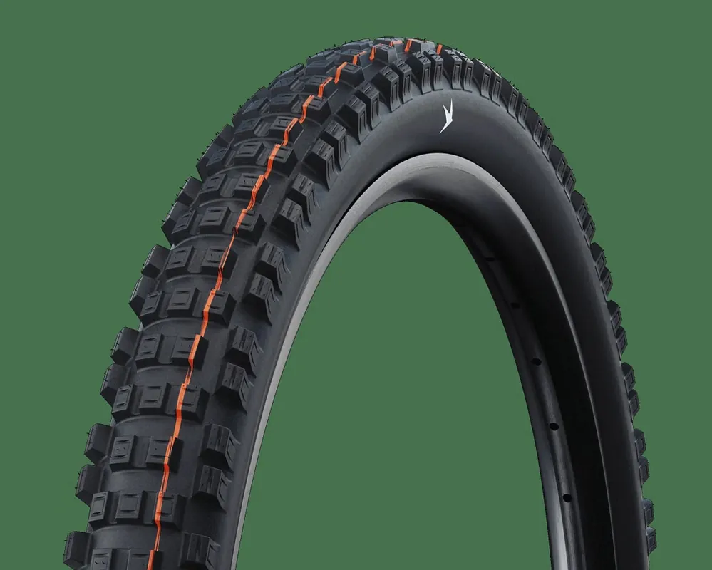 Schwalbe Eddy Current PRO Evolution Line 29 Zoll schwarz Beliebt