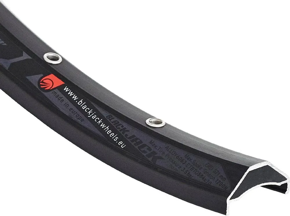 Schneller Versand Rodi cycling Felge Ready 30 29 Zoll schwarz