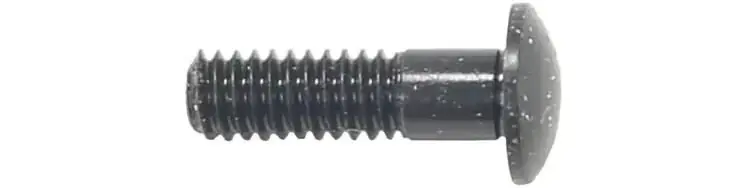 Sofort Bestellen Campagnolo Nippeleinsatz Bullet/Bullet Ultra schwarz