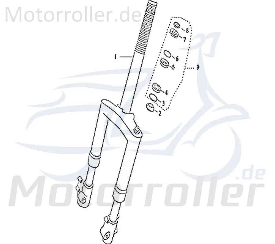 Nur Für Kurze Zeit Lenkkopflager komplett 217-HDDMI-001-000