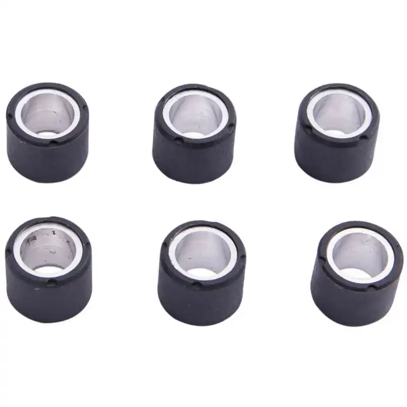 Rollenkernsatz 16x13mm 6,0g Variomatikgewichte 7.839.720/Z Variorollen Variogewichte Variomatikrollen Scooter Mega-Angebot
