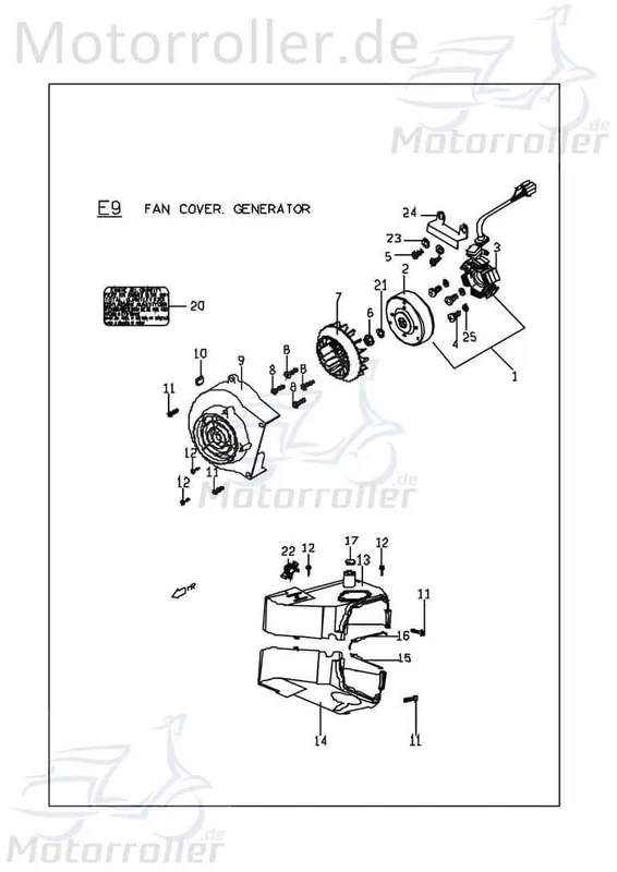 Rabatt PGO Lichtmaschine DC8 8 Spulen Bugxter 150 150ccm 4Takt C5221001000-8 Stator Ankerplatte Anker-Platte Stromerzeuger Strom-Generator