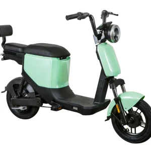 Preis Gesenkt Elektroroller Scoody 25 E-Go ZT-05A grün 350W 25 km/h E-Scooter E-Roller Mofa