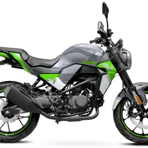 Fighter 50 Naked R-S grün 45 km/h Euro 5 Schaltmoped Mokick Billig