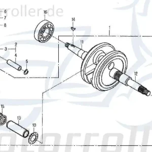Aktuell Schlauchklemme GZ/SJ Spannring Daelim E-Five 50 50ccm 2Takt Schelle Clip Klemmschelle Schlauchbinder Klemm-Schelle Schlauch-Schelle