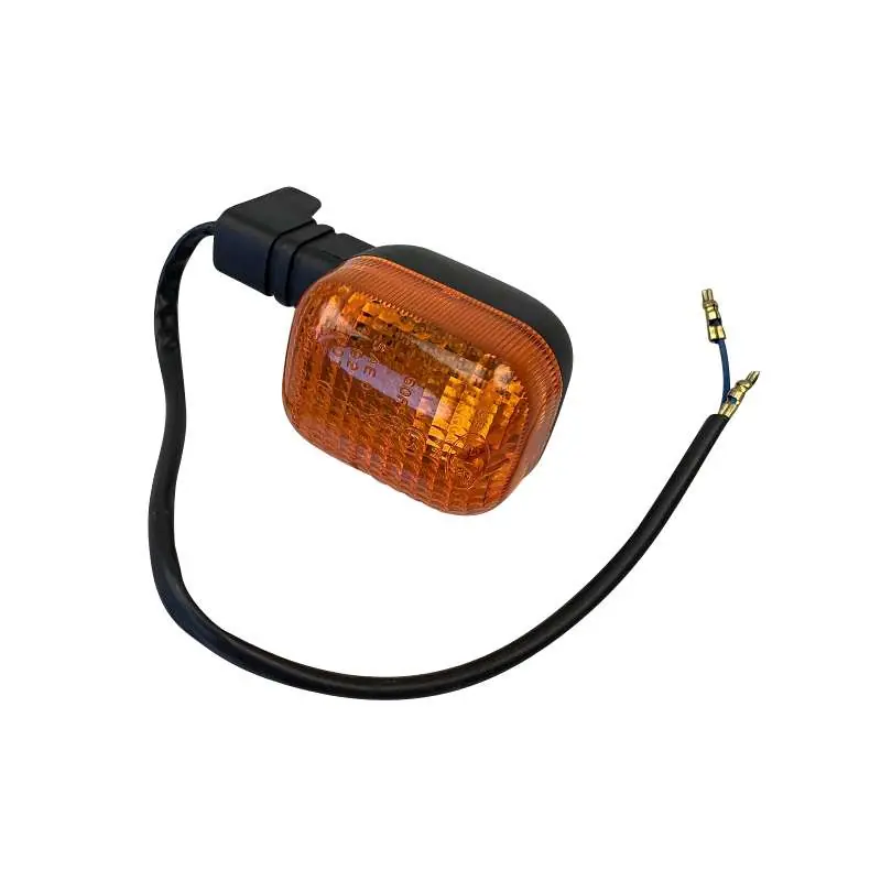 Blinker hinten rechts Blinklicht Blinkleuchte Roller 78032638 Signalleuchte Fahrtrichtungsanzeiger Blinkleuchten Blinkerleuchte Winker Geprüft