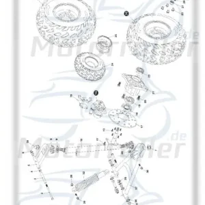 Tongjian Splint 2 x 20 Stift 9.500.220 Preiswert