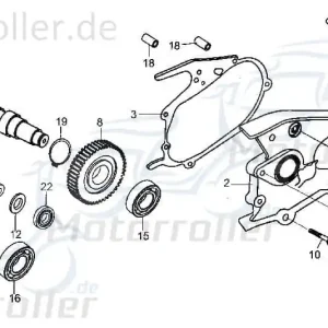 Bundschraube M6x32mm Tongjian Maschinenschraube 250ccm 4Takt Flanschschraube Flansch-Schraube Maschinen-Schraube Bund-Schraube Buggy Nur Für Kurze Zeit