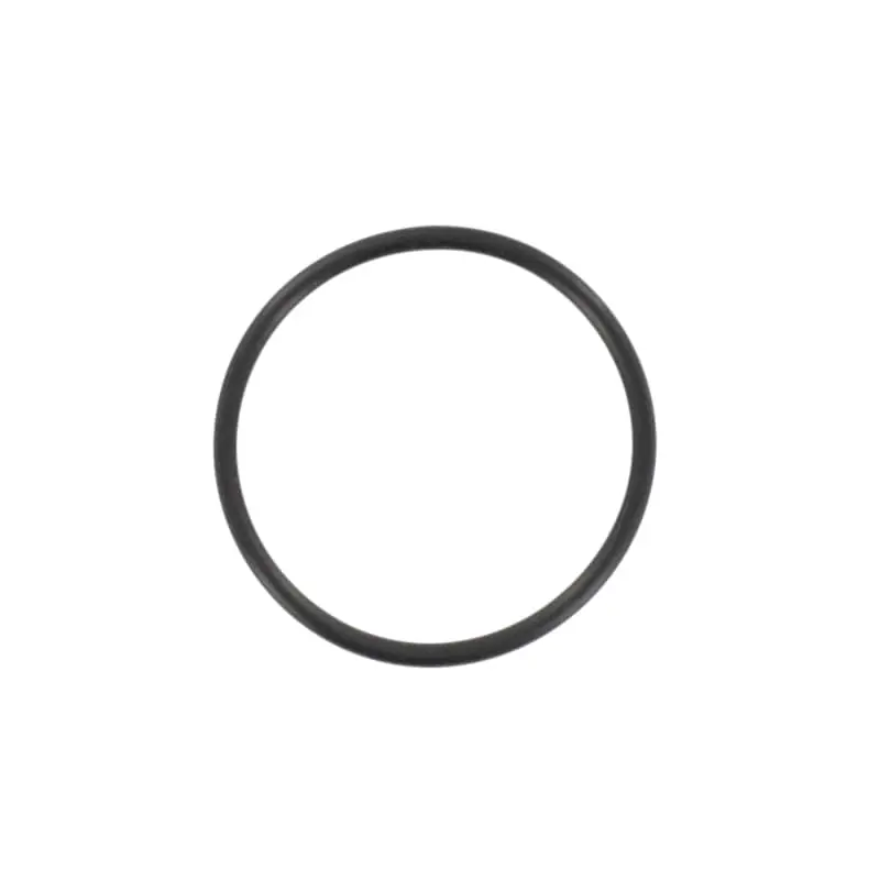 O-Ring 31x2 Dichtung Tongjian 172MM-022009 Nur Für Kurze Zeit