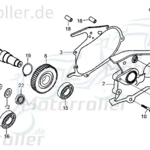 Bundschraube M8x28mm Tongjian Maschinenschraube 250ccm 4Takt Flanschschraube Flansch-Schraube Maschinen-Schraube Bund-Schraube Buggy Knallerangebot