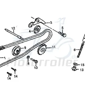 Steuerkette Seitenritzel Jincheng 100017 Sonderangebot