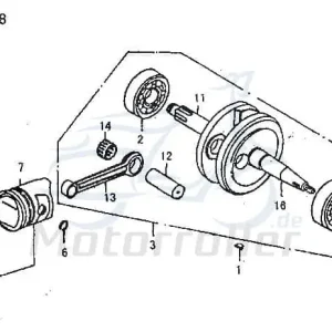Solange Der Vorrat Reicht Jincheng Sicherung Kolbenbolzen JC 50 Monkey Repl. 100404 Sicherungsring Sicherungsclip Kolbenbolzensicherung Moped