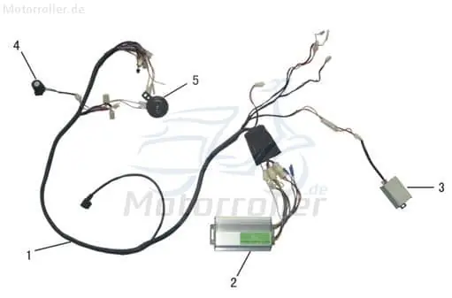 Direktkauf Eppella Eppella Scoody 20 Kabelbaum 50ccm elektro 3080111 48V 12Ah Kabelsatz Stromverteiler Strom-Verteiler Kabel-Set Kabelbündel