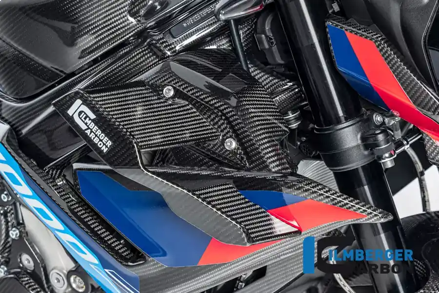 Abverkauf Ilmberger Carbon Verkleidungswinglet rechts passend für BMW M1000R 2023
