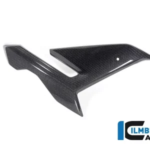 Super-Preis Ilmberger Carbon Verkleidungsseitenteil rechts passend für BMW M1000R 2023-