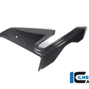 Must-Have Ilmberger Carbon Verkleidungsseitenteil links passend für BMW M1000R 2023-