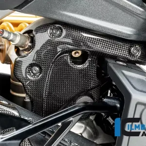 Abverkauf Ilmberger Carbon Auspuffhitzeschutz passend für Ducati Diavel 1260 ab 2019