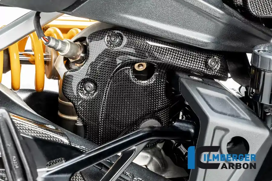 Abverkauf Ilmberger Carbon Auspuffhitzeschutz passend für Ducati Diavel 1260 ab 2019