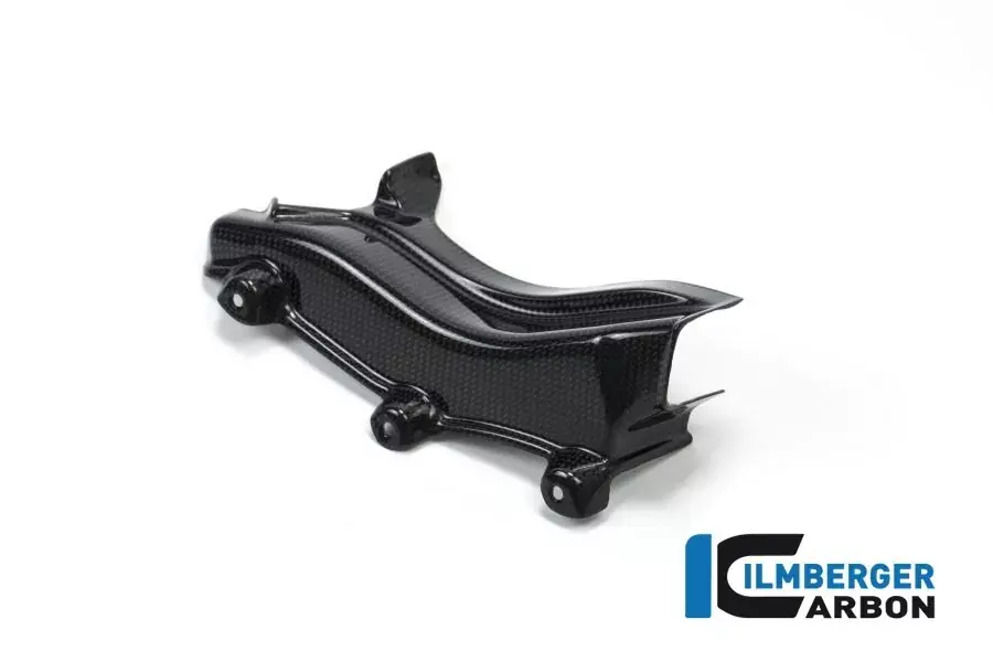 Nur Heute Ilmberger Carbon Kabelbaumabdeckung glanz passend für Ducati XDiavel