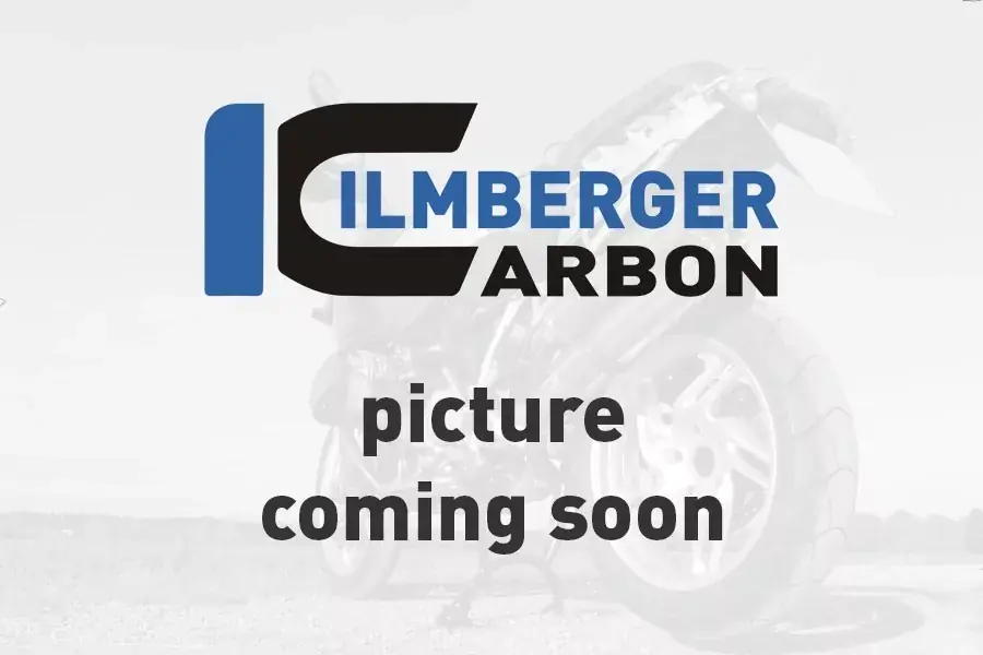 Ilmberger Carbon Lichtmaschinendeckelabdeckung glanz passend für Ducati Panigale Top-Preis