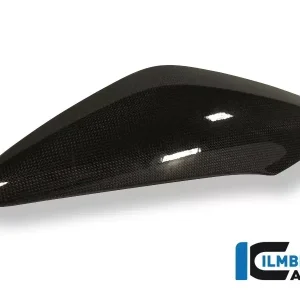 Highlight Ilmberger Carbon Seitendeckel überm Kühler links passend für Triumph Speed Triple 1050