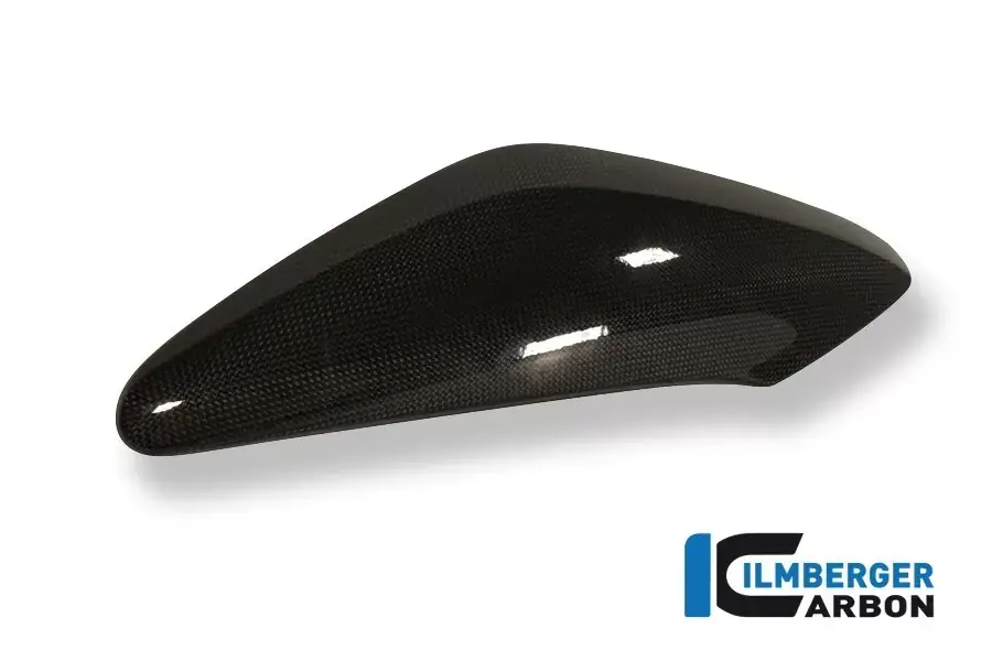 Highlight Ilmberger Carbon Seitendeckel überm Kühler links passend für Triumph Speed Triple 1050
