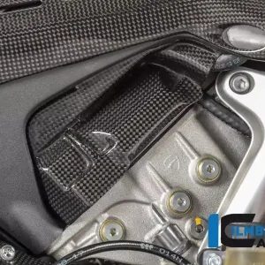 Ilmberger Carbon Zylinderkopfabdeckung rechts glanz passend für Ducati Panigale V4 / V4S / Streetfighter V4 Günstig