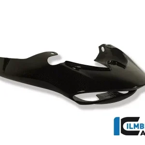 Ilmberger Carbon Rücklichtverkleidung passend für Triumph Speed Triple 1050 Begrenztes Angebot