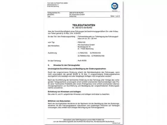 Schneller Versand Gutachten Bearbeitungsgebühr für Tuning-Produkte