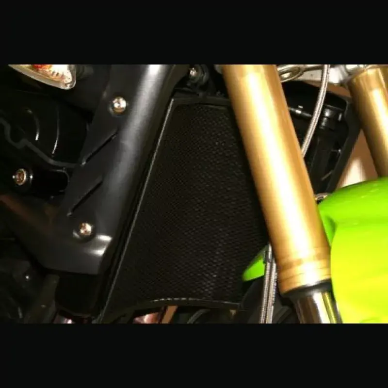 R&G Racing Kühlergitter passend für Triumph Street Triple 675 / 675 R (2007-2012) Aktuell
