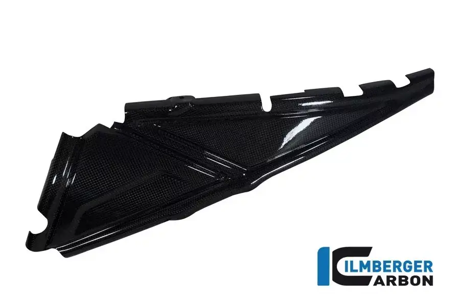 Saisonangebot Ilmberger Carbon Heckrahmencover links passend für BMW R1200GS