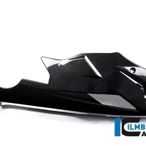 Ilmberger Carbon Motorspoiler passend für BMW S1000R Neu