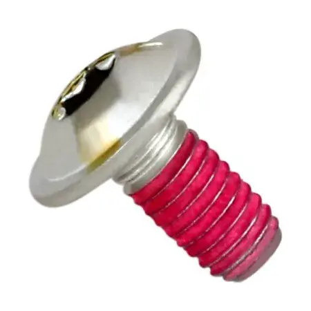 Auspuffschraube Akrapovic P-FB38 Beliebt