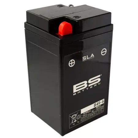 Saisonangebot Batterie SLA BS Battery B49-6 6V 10,5Ah