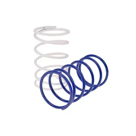 Gegendruckfedern Set Polini Evolution Piaggio / Minarelli Mega-Angebot