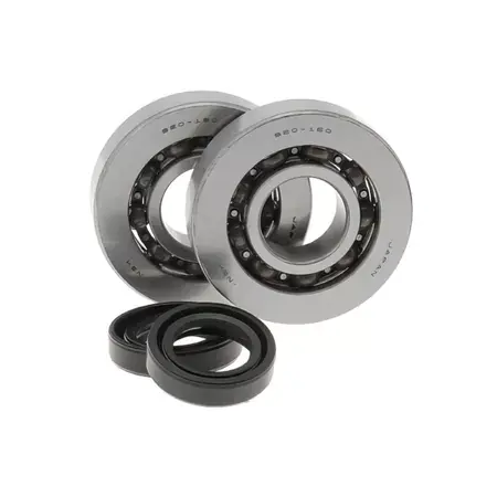 Knallerangebot Kurbelwellenlager standard Piaggio