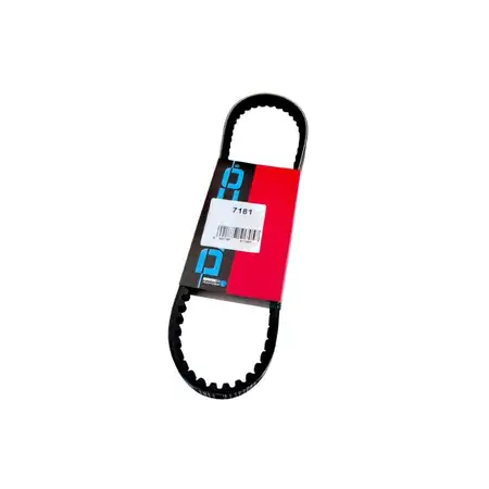 Keilriemen Dayco verstärkt gezahnt MBK 51 Knallerangebot