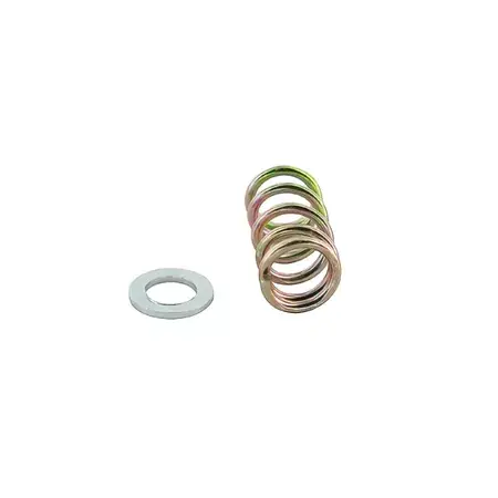 Feder + Unterlegscheibe Standgasschraube Stage6 Mikuni TM24 Sichere Zahlung