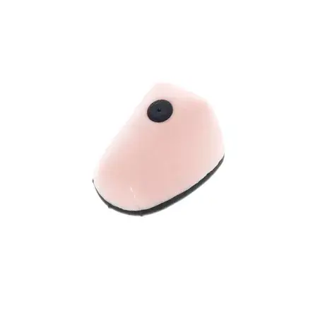 Expressversand Luftfilter Powerflow Kit Twin Air 150229C Honda CRF 250