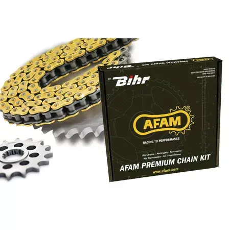 Kettensatz Afam 520 MR2 RM 250 13/49 Aktuell