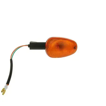 Blinker hinten rechts Aprilia RSV Preis Gesenkt