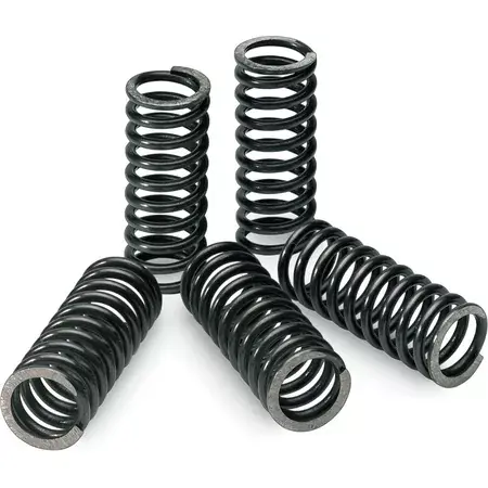 Kupplungsfedern Pro Circuit KXF 250 bis 2020 Sale