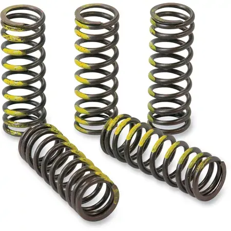 Günstig Kupplungsfedern Pro Circuit RM 85