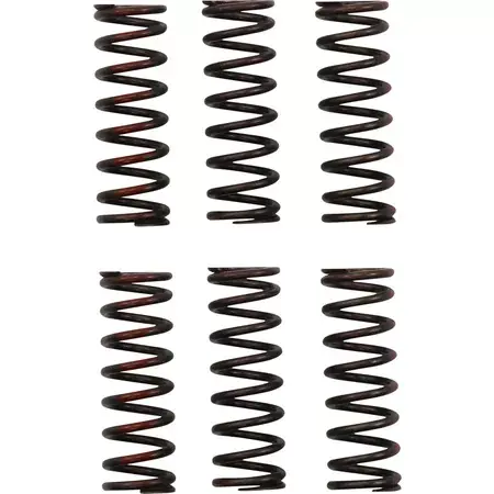Kupplungsfedern Pro Circuit CRF 450 ab 2021 Saisonangebot